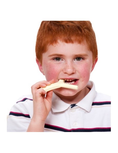 ARK Y Chew dentaruolo