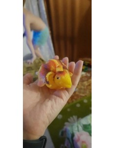 Palloni Amici Animale