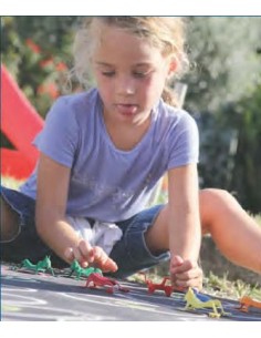 Gioco delle Rane salterine