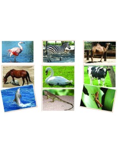 Fotografie Animali-akros