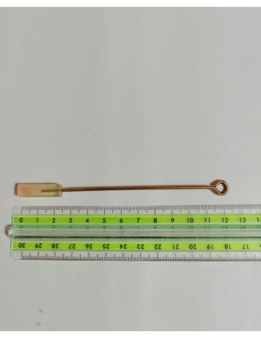 Forme per la stereognosia orale