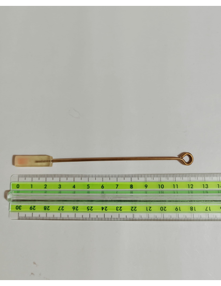 Forme per la stereognosia orale