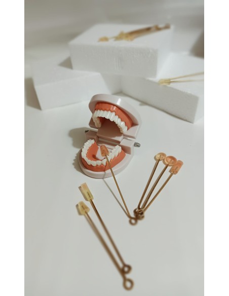 Forme per la stereognosia orale