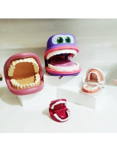 Mini bocca modello anatomico