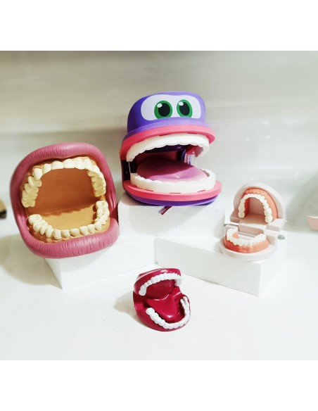 Modello didattico SmartMouth