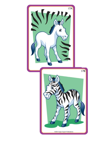Ricomponi l’oggetto – Part to Whole Fun Deck 56 carte