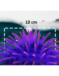 Palla riccio gommoso Ø12cm