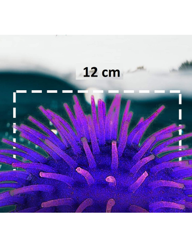 Palla riccio gommoso