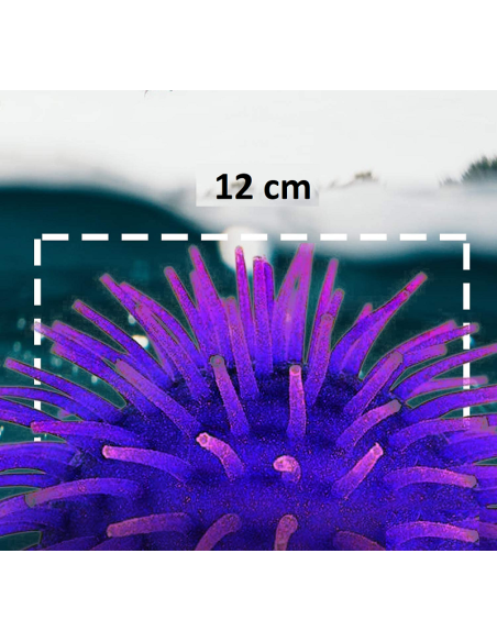 Palla riccio gommoso