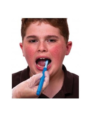 ARK Probe Tip per Z-Vibe® – Stimolazione orale e input sensoriale graduato