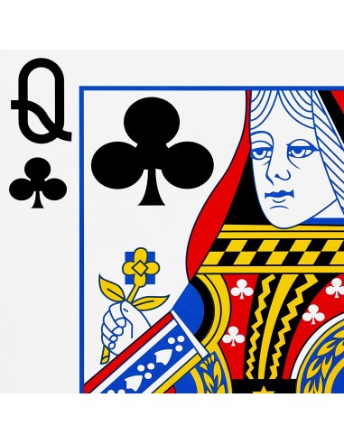 CARTE DA GIOCO XXL per ipovedenti