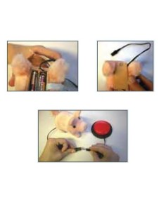 Adattatore per dispositivi a batteria tipo C o D