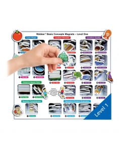 Concetti di base Magnetic Webber 1