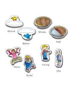 Concetti di base Magnetic Webber 2