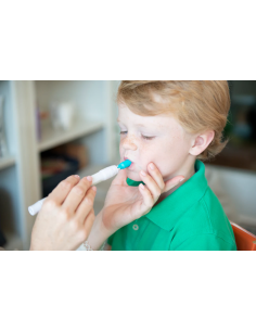 Sensi testina rotonda