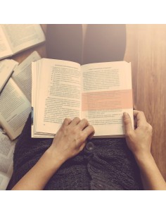 Righelli colorati per la Lettura 4pz.