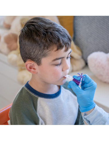 Fischietto N4 Girandola-horn kit