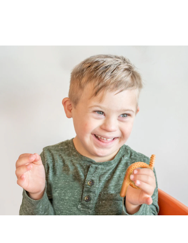 Chewy Baby Sensory TalkTools