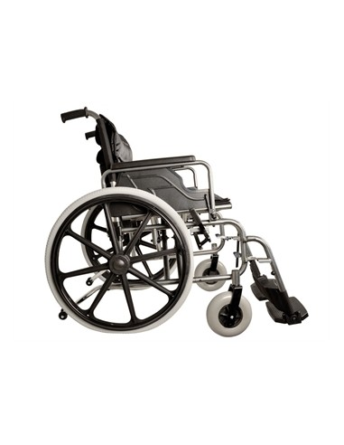 CARROZZINA EXTRA LARGE