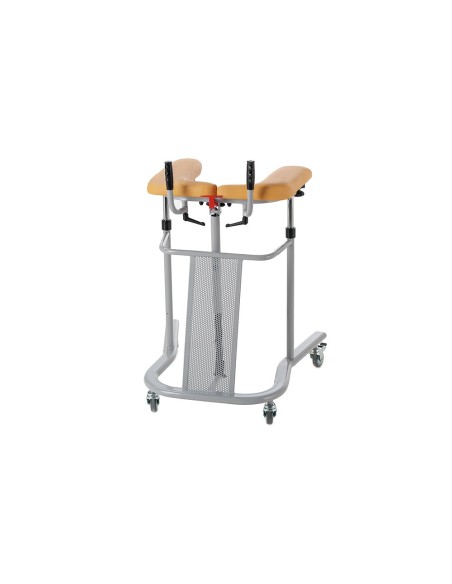 Deambulatore con appoggio