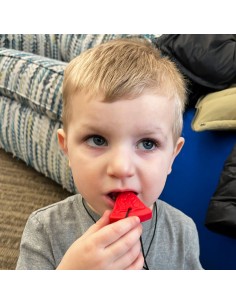 Collana Masticabile  ARK's Pizza