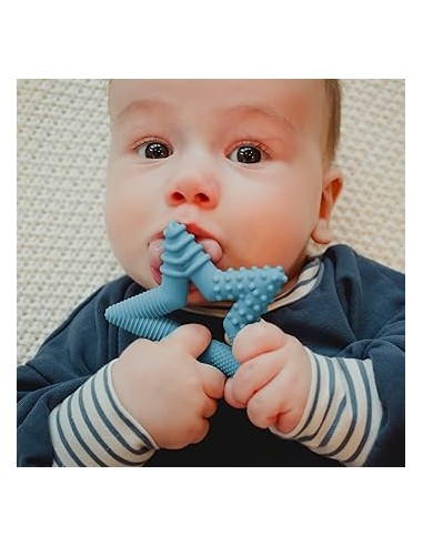 Massaggiagengive Stella di Talktools-giocotherapy