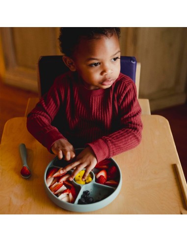 Piatto Bitsy™ TalkTools® con ventosa – Autoalimentazione bambini