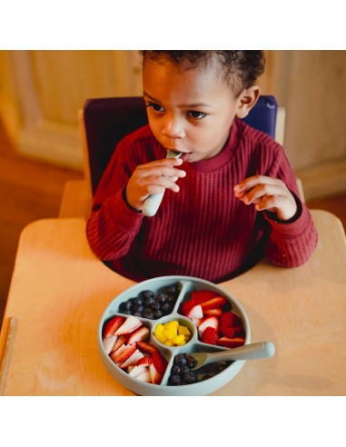 Piatto Bitsy™ con scomparti di Talk Tools