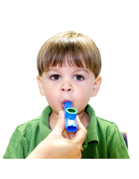 Strumenti di Fonoarticolazione - guida pratica all’utilizzo