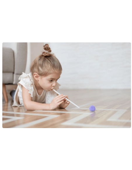 Pompons colori assortiti