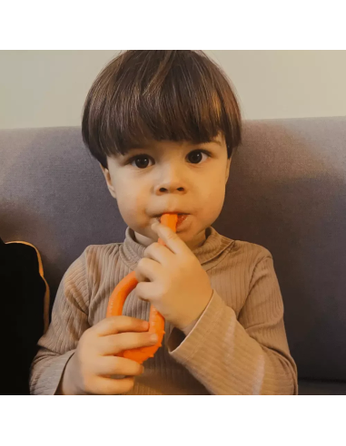 Masticabile Ark Grabber Sensory Tubolare