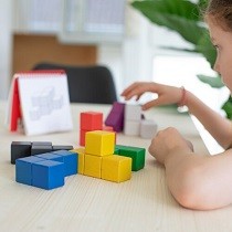 Attività cognitive e concentrazione